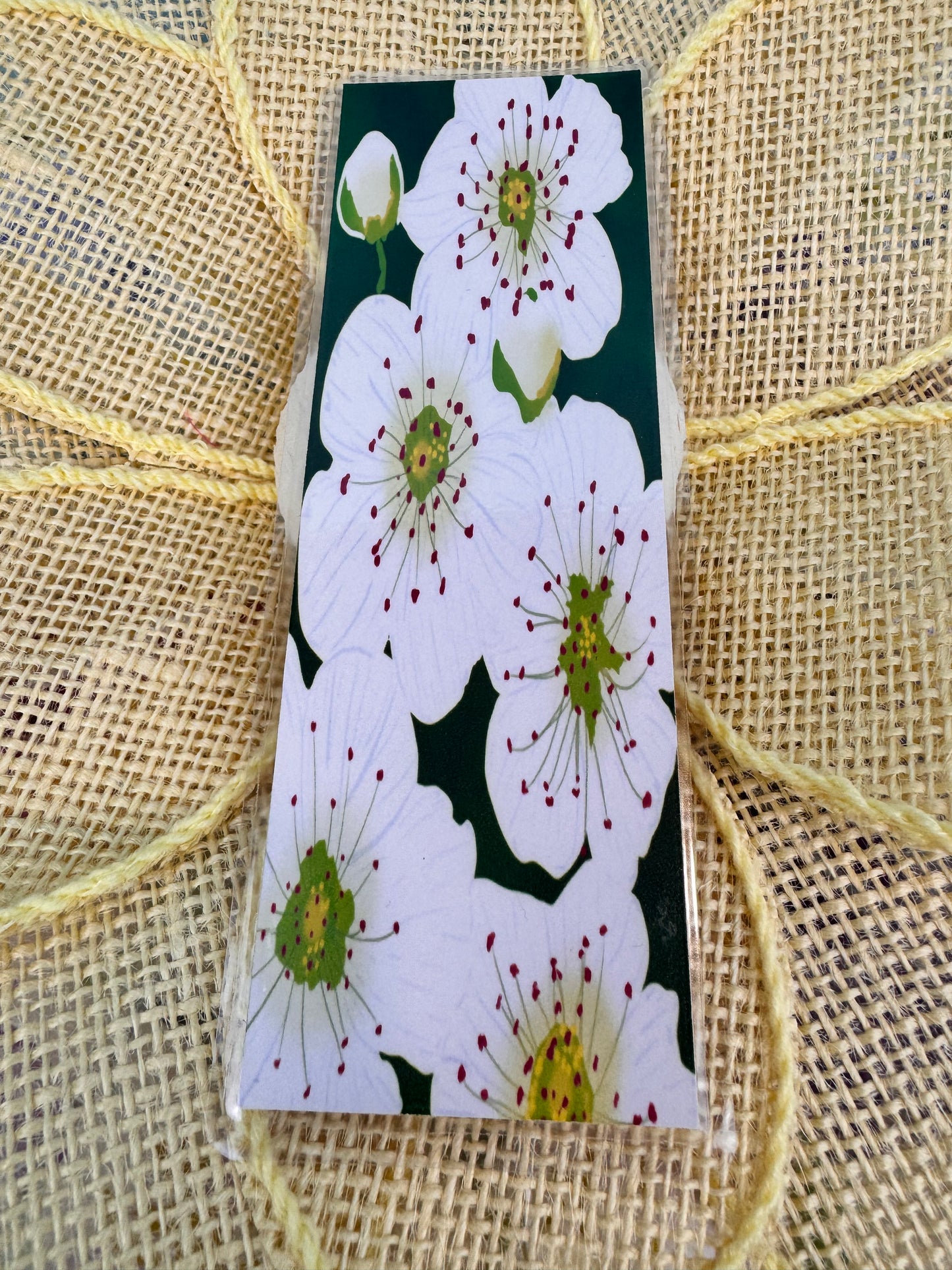 May Birth Flower Hand Drawn Laminated Bookmark, Hawthorn Flowers, Birthdays