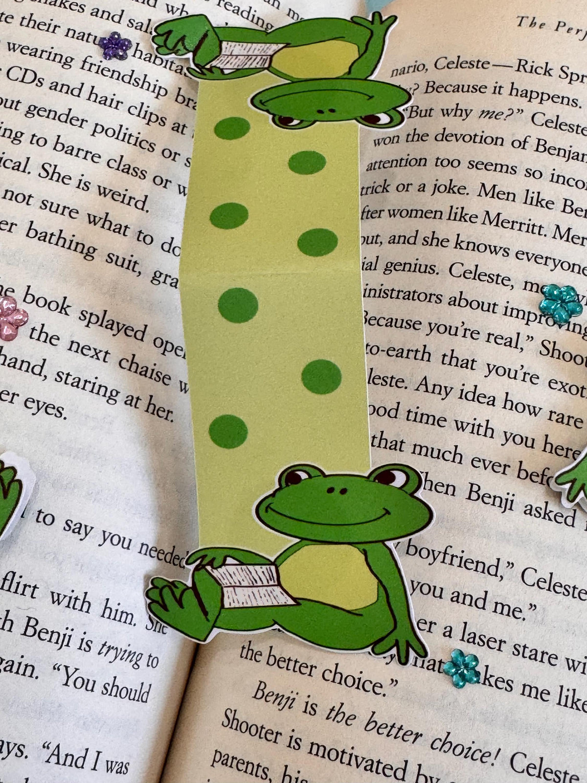 Mr. Downtime Reading Frog Magnetic Bookmark