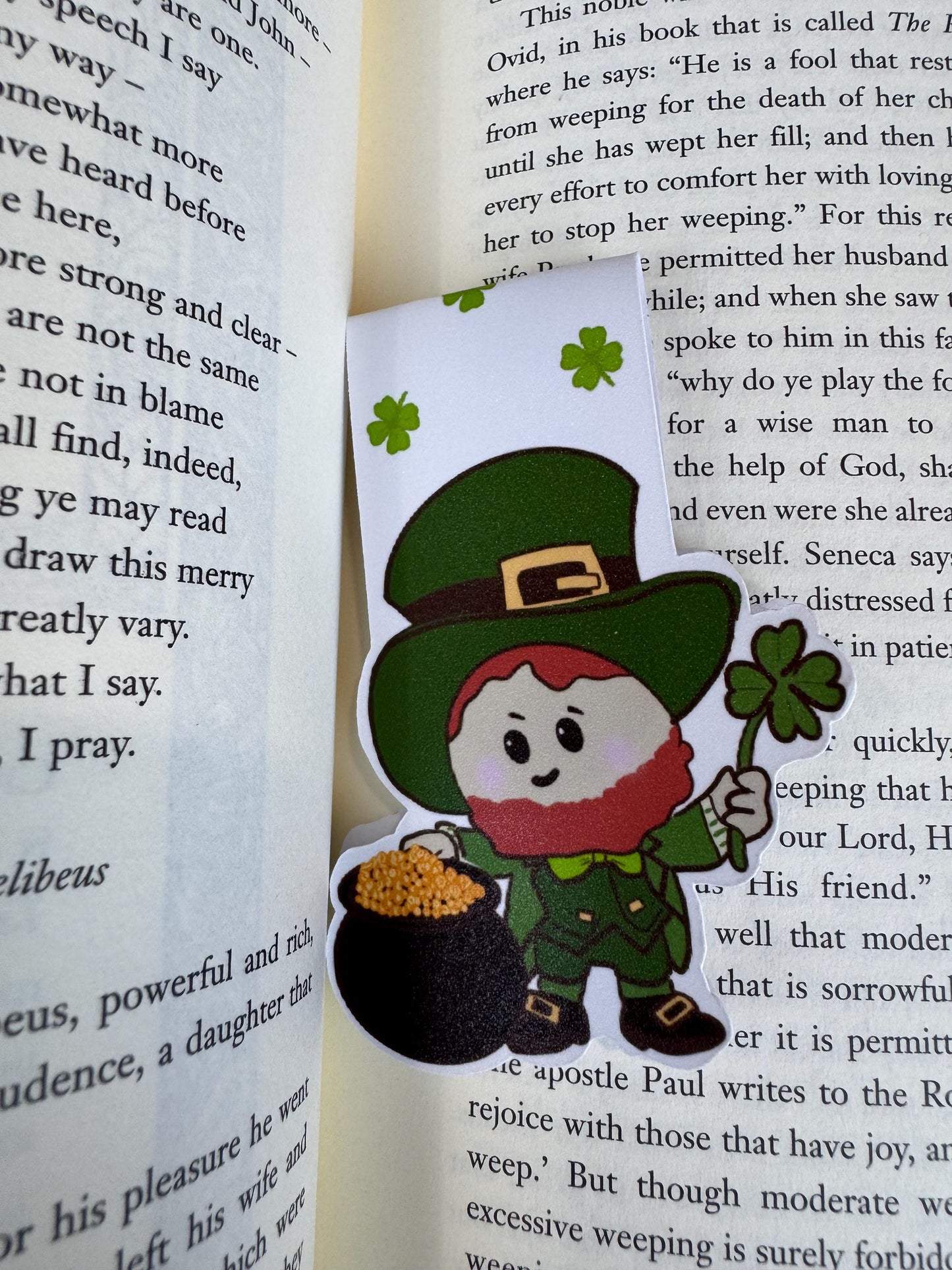 Luck Of The Irish Magnetic Bookmark - Leprechaun with his lucky pot of gold